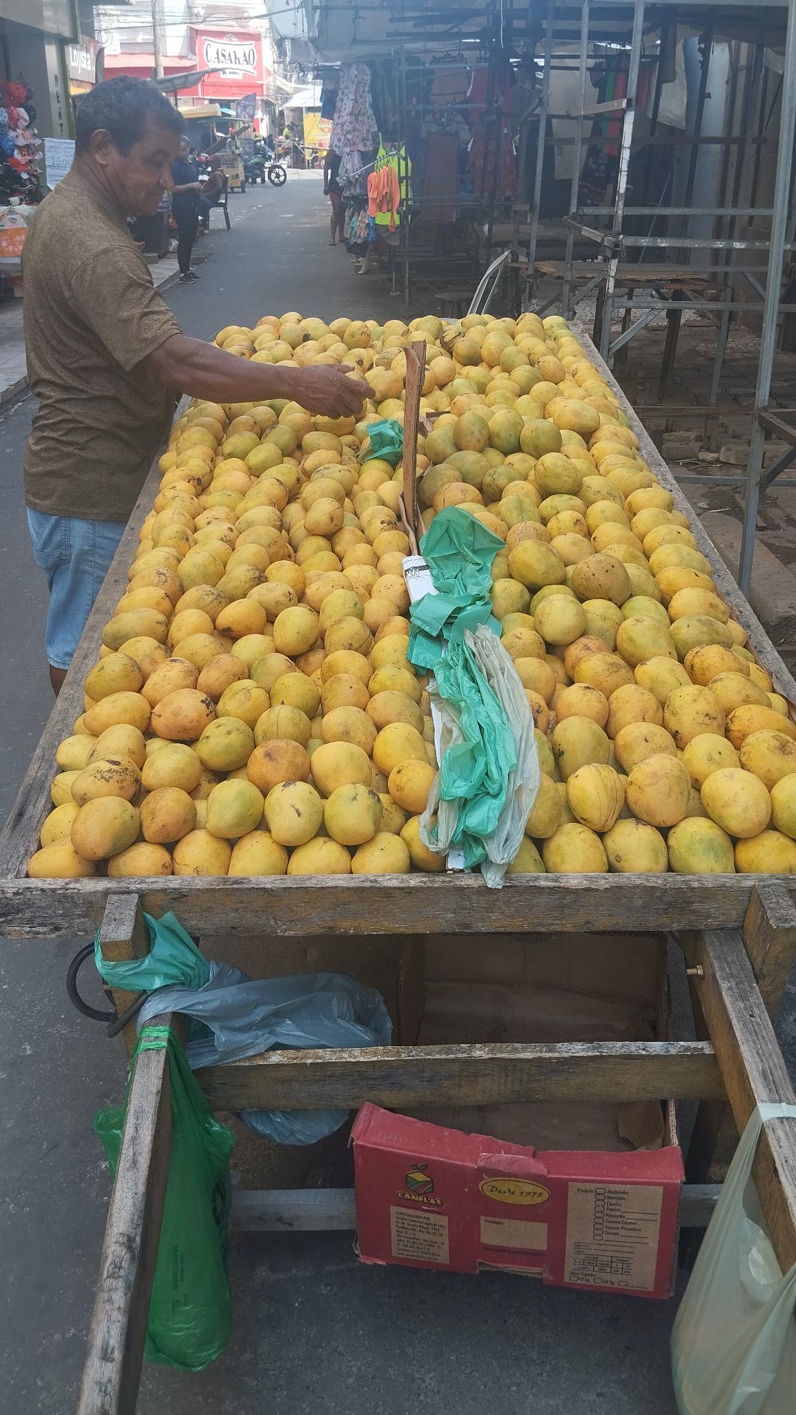 signal 2025 11 22 22 42 28 397 2